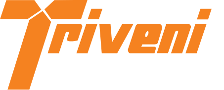 Triveni Power Transmission